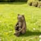 Glitzhome® 12" Resin Bronze Squatting Frog Statue